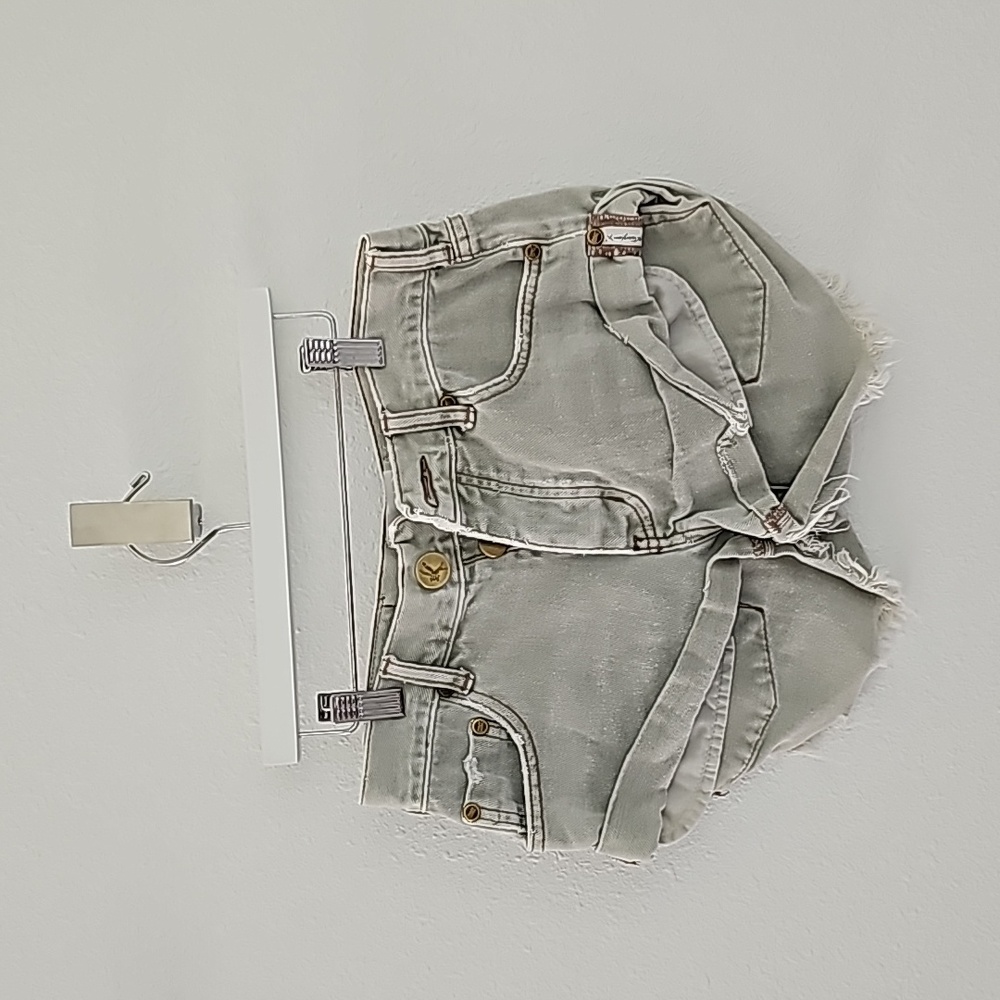 One Teaspoon bandits shorts